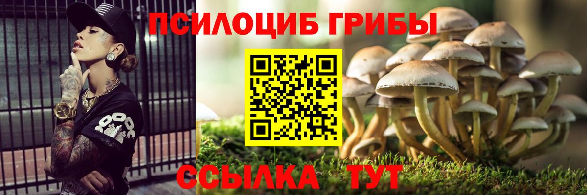 Мариинск  Псилоцибиновые грибы Psilocybe  Вход с VPN 